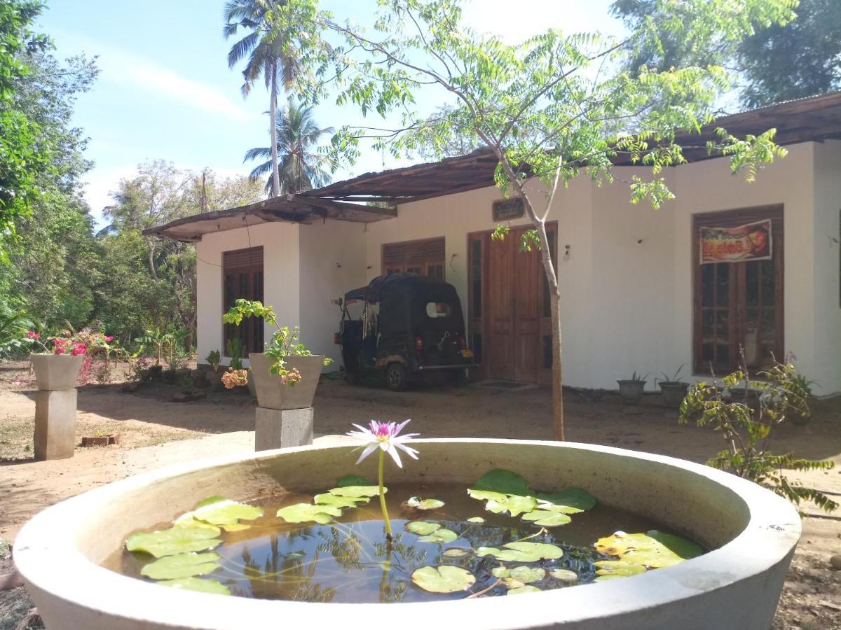 Silent Peacock Villa And Peacock Cafe Tangalle Exteriör bild