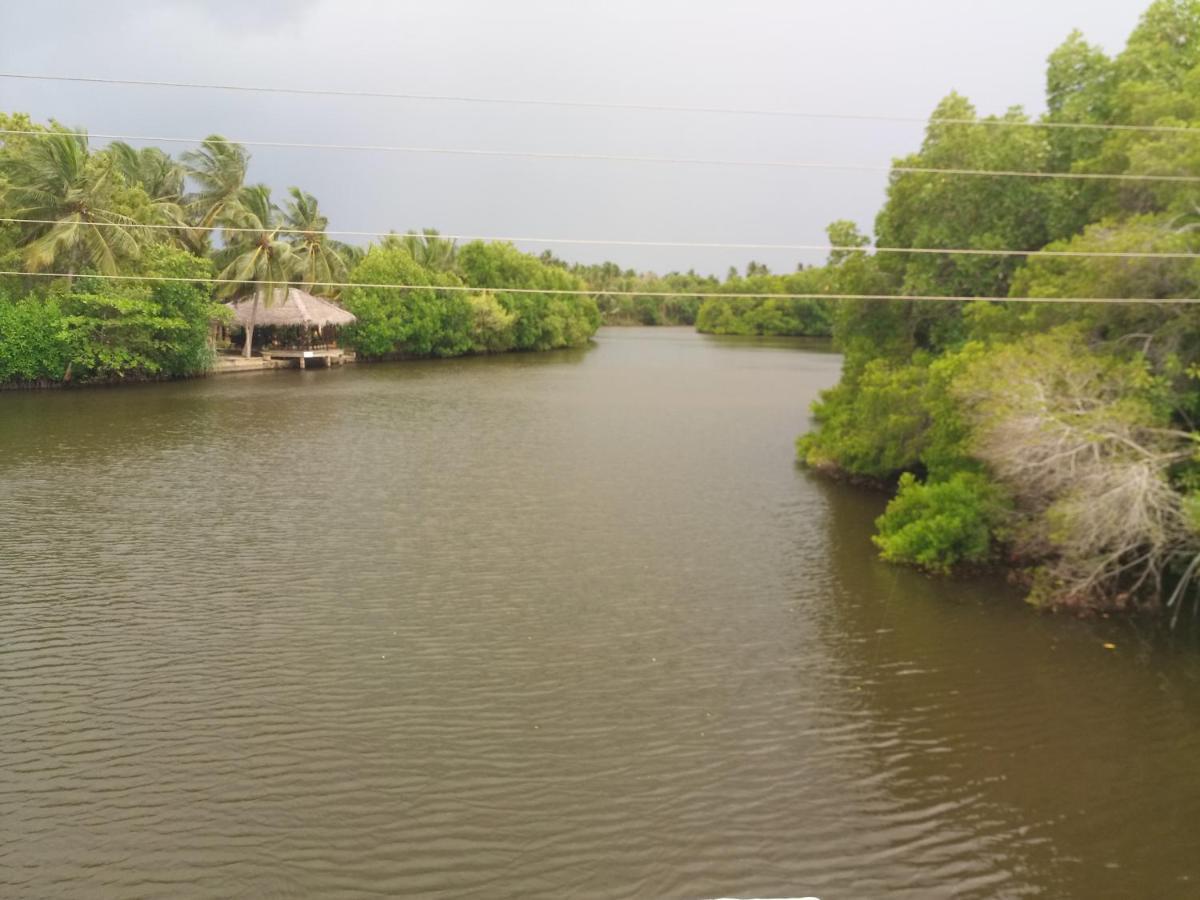 Silent Peacock Villa And Peacock Cafe Tangalle Exteriör bild
